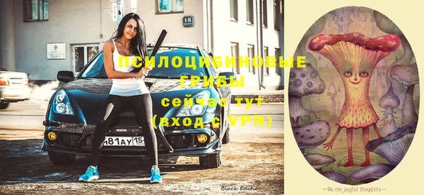 мдпв Богданович