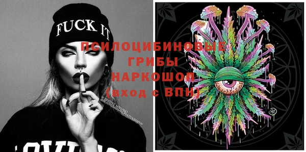 mdma Богородицк