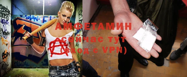 мдпв Богданович