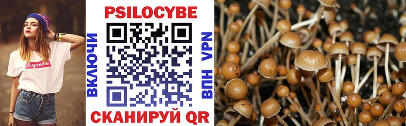 магазин продажи наркотиков  Ставрополь  блэк спрут ссылка  Псилоцибиновые грибы Psilocybine cubensis 