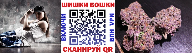 Конопля сатива  Ставрополь 
